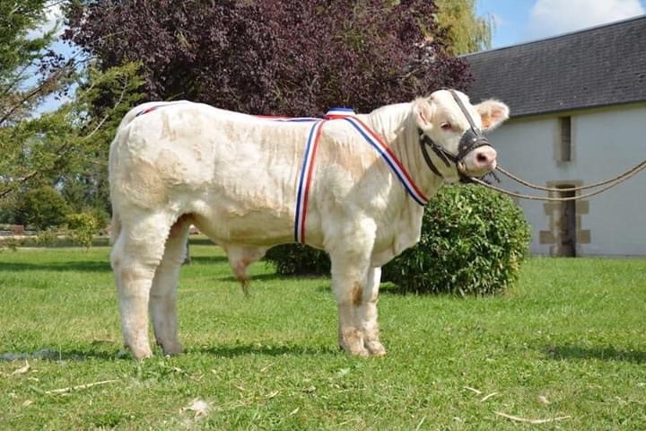 VENTE NATIONALE 2020