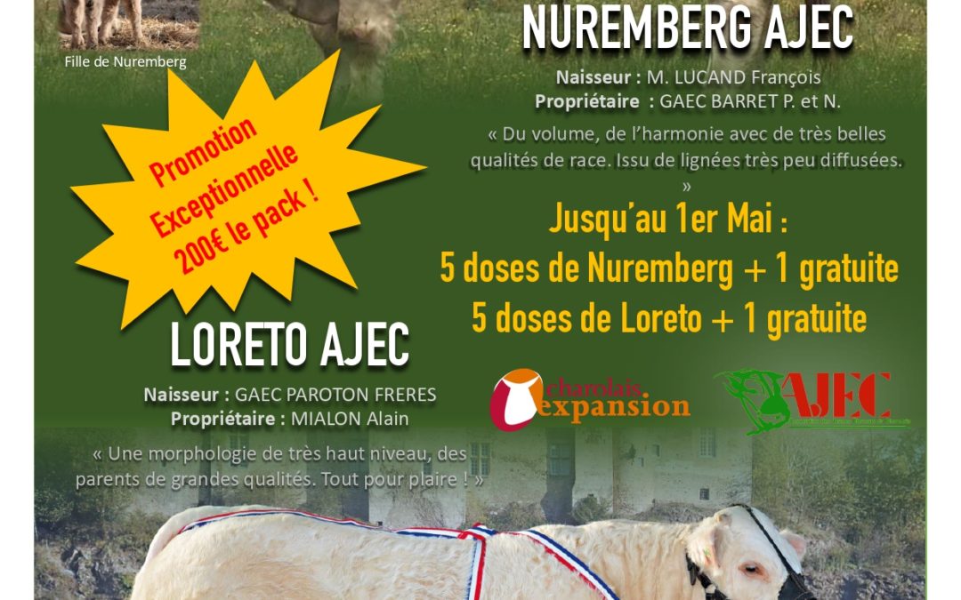 PROMOTION SEMENCES LORETO ET NUREMBERG AJEC