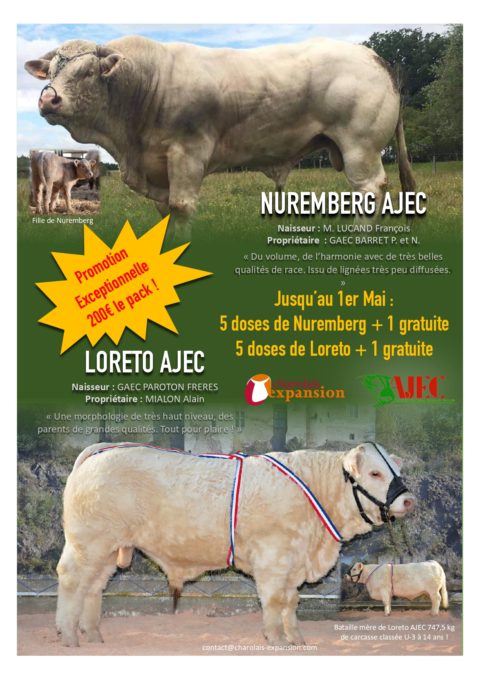 PROMOTION SEMENCES LORETO ET NUREMBERG AJEC